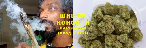 хмурый Магас