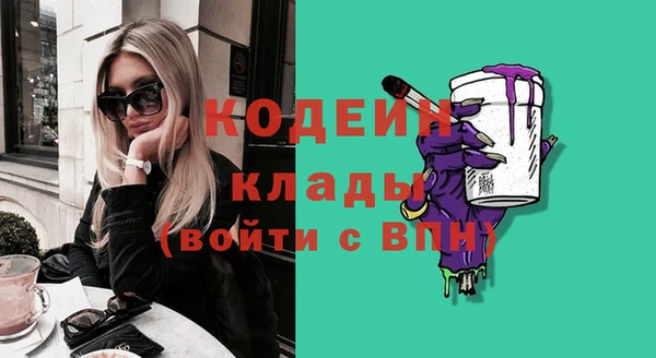 хмурый Магас