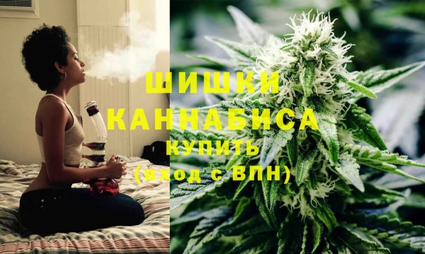 хмурый Магас