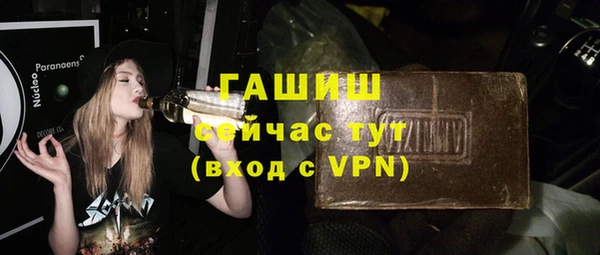 хмурый Магас