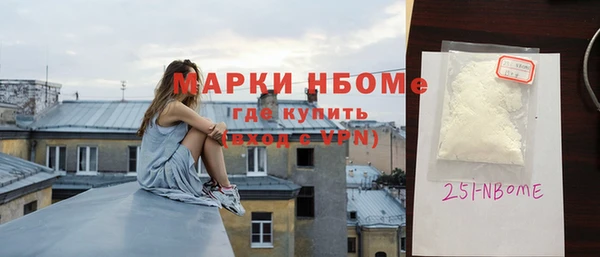 хмурый Магас