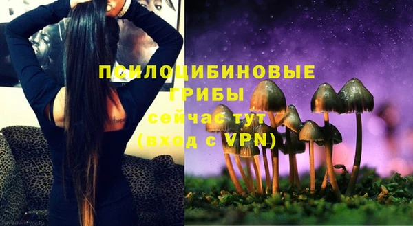 эйфоретик Майский
