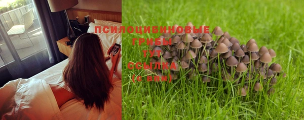 твердый Магадан