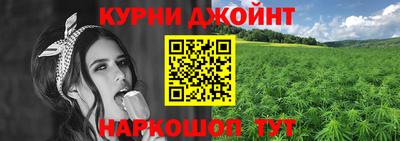 молекула духа Гай