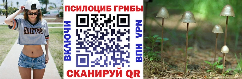 Галлюциногенные грибы Magic Shrooms  Конаково 